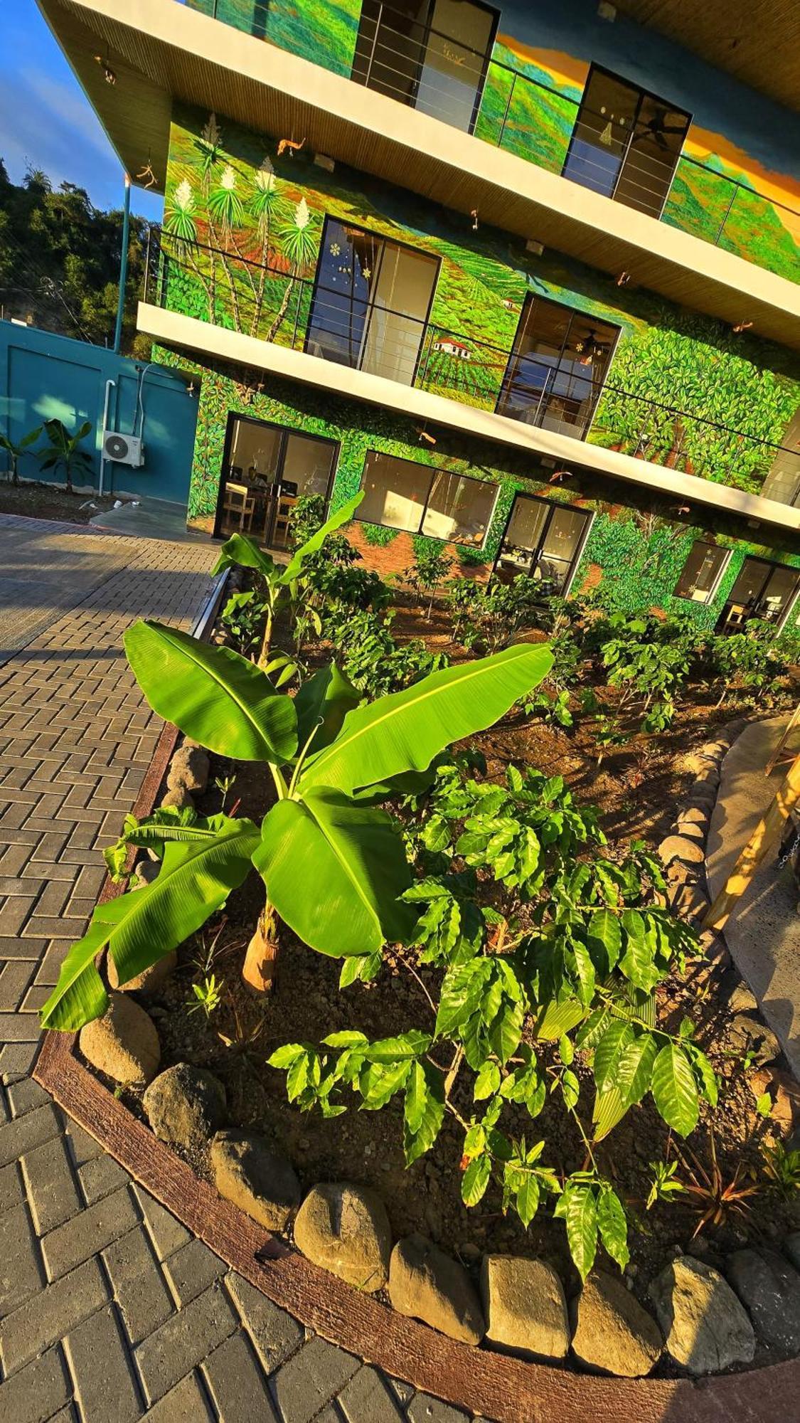 Bonding Coffee Roaster Cafe & Hotel Quepos Exterior foto