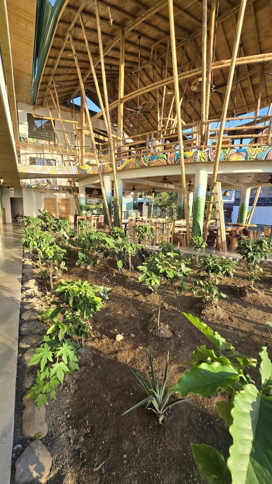 Bonding Coffee Roaster Cafe & Hotel Quepos Exterior foto