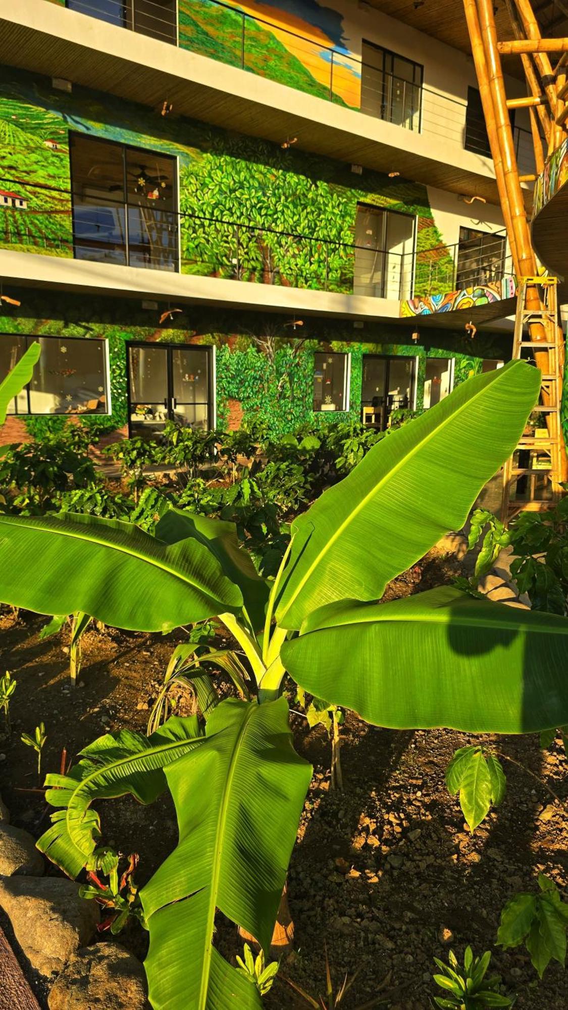 Bonding Coffee Roaster Cafe & Hotel Quepos Exterior foto